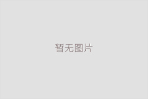 公司简介